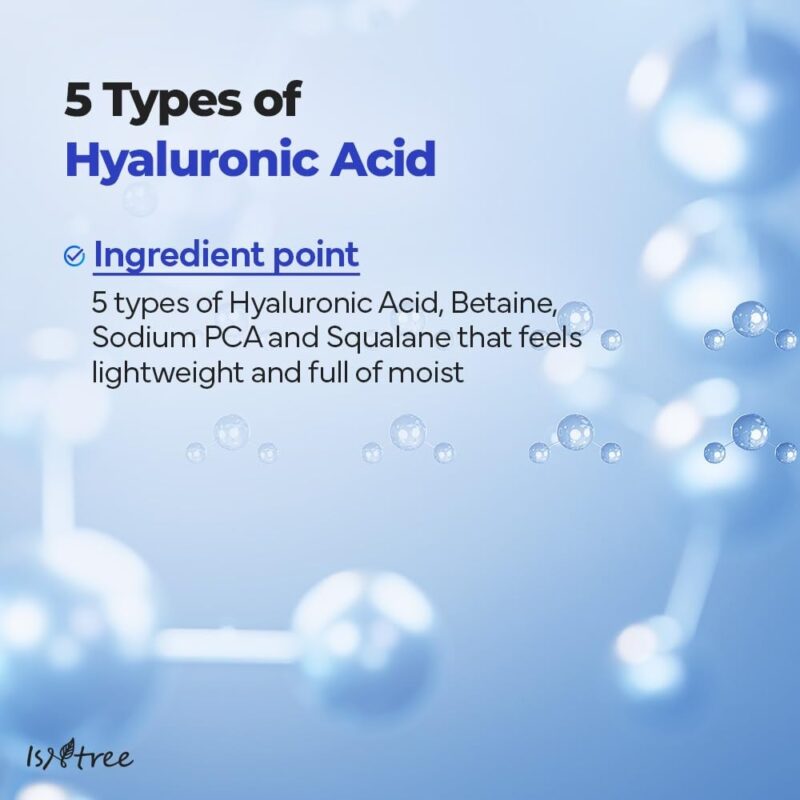 Isntree Hyaluronic Acid Aqua Gel Cream 100 ML - Image 4
