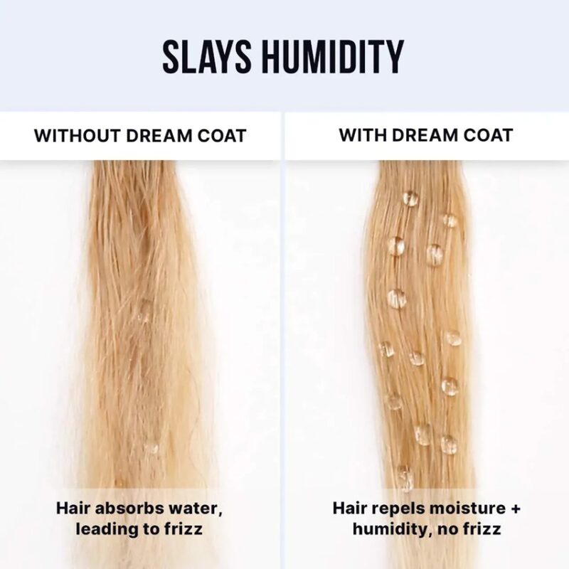 Color Wow Dream Coat Iconic Frizz Fighters Hair Duo Gift Set - Image 4